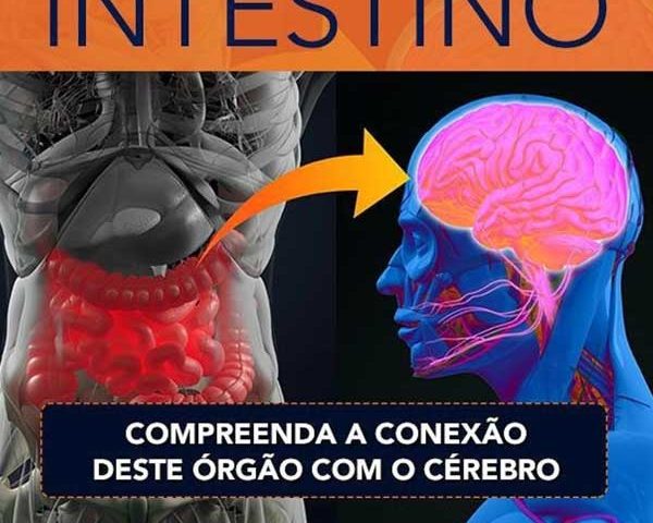 Compreenda a Conexão do Intestino com o Cérebro