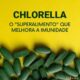 os benefícios da chlorella